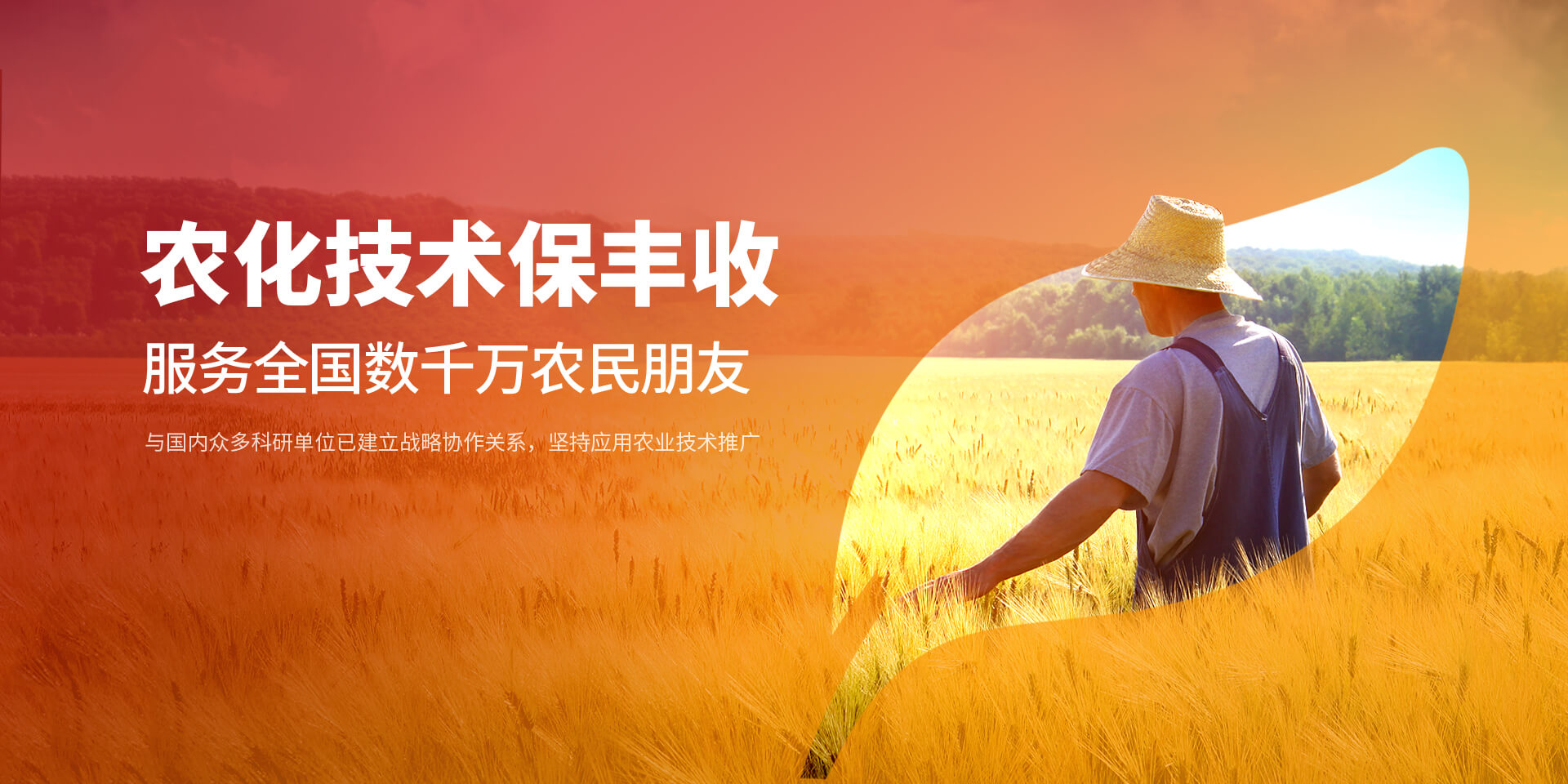 安阳草莓免费视频APP新肥科技有限公司