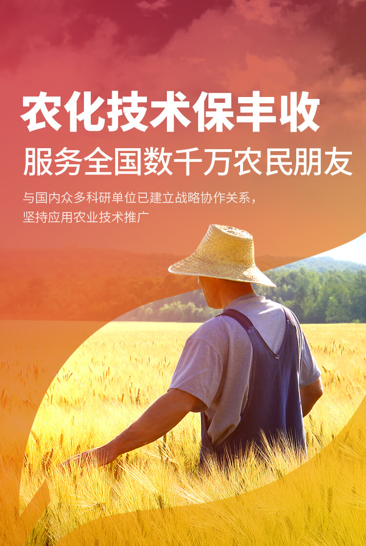 安阳草莓免费视频APP新肥科技有限公司